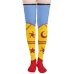 Flag Of The Mapuches Thigh High Stockings
