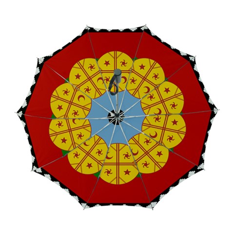 Flag Of The Mapuches Automatic Folding Umbrella with Case (Large) from ArtsNow.com