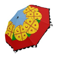 Folding Umbrella 