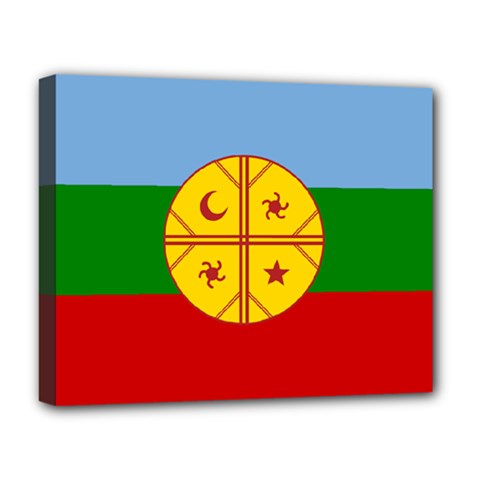 Flag Of The Mapuches Svg Deluxe Canvas 20  x 16  (Stretched) from ArtsNow.com