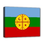 Flag Of The Mapuches Svg Deluxe Canvas 20  x 16  (Stretched)