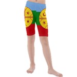 Flag Of The Mapuches Svg Kids  Mid Length Swim Shorts