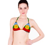 Flag Of The Mapuches Svg Classic Bikini Top