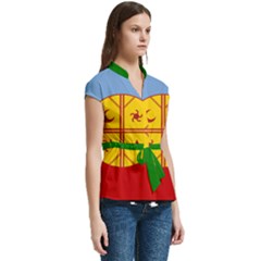 Women s Cap Sleeve Mandarin Collar Waist Tie Blouse 