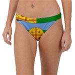 Flag Of The Mapuches Svg Band Bikini Bottoms