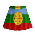 Flag Of The Mapuches Svg Mini Flare Skirt