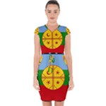 Flag Of The Mapuches Svg Capsleeve Drawstring Dress 