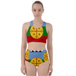 Flag Of The Mapuches Svg Racer Back Bikini Set