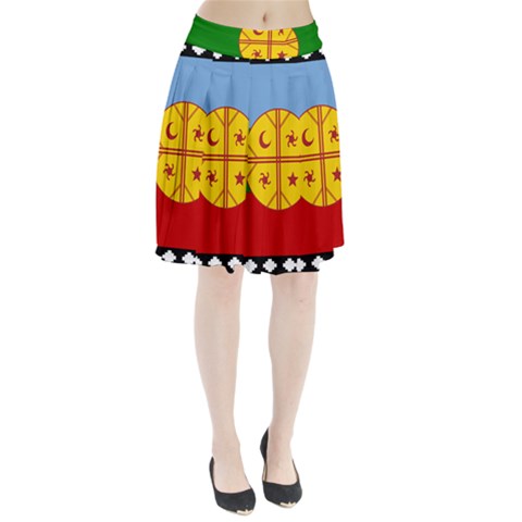 Flag Of The Mapuches Svg Pleated Skirt from ArtsNow.com