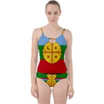 Flag Of The Mapuches Svg Cut Out Top Tankini Set