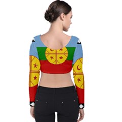 Velvet Long Sleeve Crop Top 