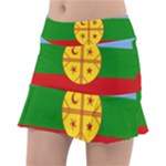 Flag Of The Mapuches Svg Classic Tennis Skirt
