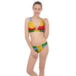 Flag Of The Mapuches Svg Classic Banded Bikini Set 