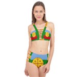 Flag Of The Mapuches Svg Cage Up Bikini Set
