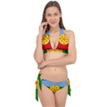 Flag Of The Mapuches Svg Tie It Up Bikini Set
