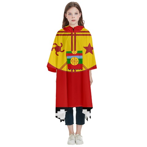 Flag Of The Mapuches Svg Kids  Hooded Rain Ponchos from ArtsNow.com