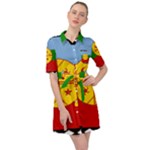 Flag Of The Mapuches Svg Belted Shirt Dress
