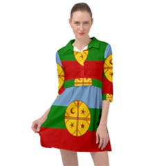 Mini Skater Shirt Dress 