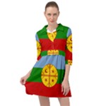 Flag Of The Mapuches Svg Mini Skater Shirt Dress
