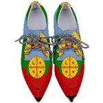 Flag Of The Mapuches Svg Pointed Oxford Shoes