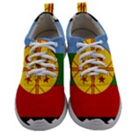 Flag Of The Mapuches Svg Mens Athletic Shoes