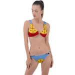 Flag Of The Mapuches Svg Ring Detail Crop Bikini Set