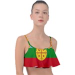 Flag Of The Mapuches Svg Frill Bikini Top