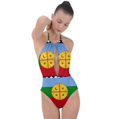 Plunge Cut Halter Swimsuit 