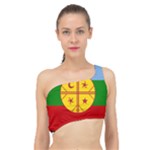 Flag Of The Mapuches Svg Spliced Up Bikini Top 