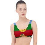 Flag Of The Mapuches Svg The Little Details Bikini Top