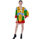 Flag Of The Mapuches Svg V-Neck Flare Sleeve Mini Dress