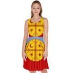 Flag Of The Mapuches Svg Knee Length Skater Dress With Pockets