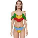 Flag Of The Mapuches Svg Ruffle Edge Tie Up Bikini Set	