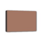 Mocha Mousse Hex Code #a47864 Mini Canvas 6  x 4  (Stretched)