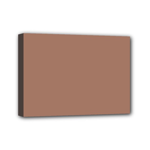Mocha Mousse Hex Code #a47864 Mini Canvas 7  x 5  (Stretched) from ArtsNow.com