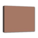 Mocha Mousse Hex Code #a47864 Deluxe Canvas 20  x 16  (Stretched)