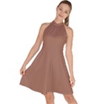 Mocha Mousse Hex Code #a47864 Sleeveless Halter Neck A-Line Dress