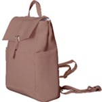 Mocha Mousse Hex Code #a47864 Buckle Everyday Backpack