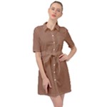 Mocha Mousse Hex Code #a47864 Belted Shirt Dress