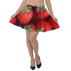 Velvet Skater Skirt 