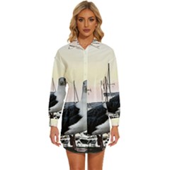 Womens Long Sleeve Shirt Dress 