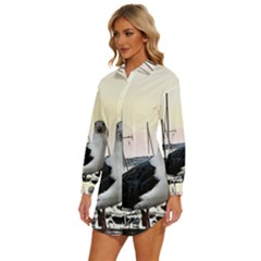Womens Long Sleeve Shirt Dress 