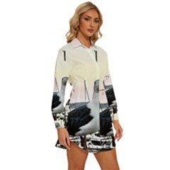 Womens Long Sleeve Shirt Dress 