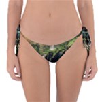 Waterfall Rocks Jungle Forest Reversible Bikini Bottoms