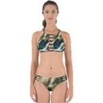 Waterfall Rocks Jungle Forest Perfectly Cut Out Bikini Set