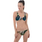 Waterfall Rocks Jungle Forest Ring Detail Crop Bikini Set