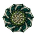 Automatic Folding Umbrella with Case (Large) 