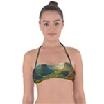 Mountains Trees Forest Tie Back Bikini Top