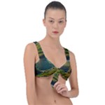 Mountains Trees Forest Front Tie Bikini Top