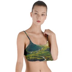 Layered Top Bikini Top  